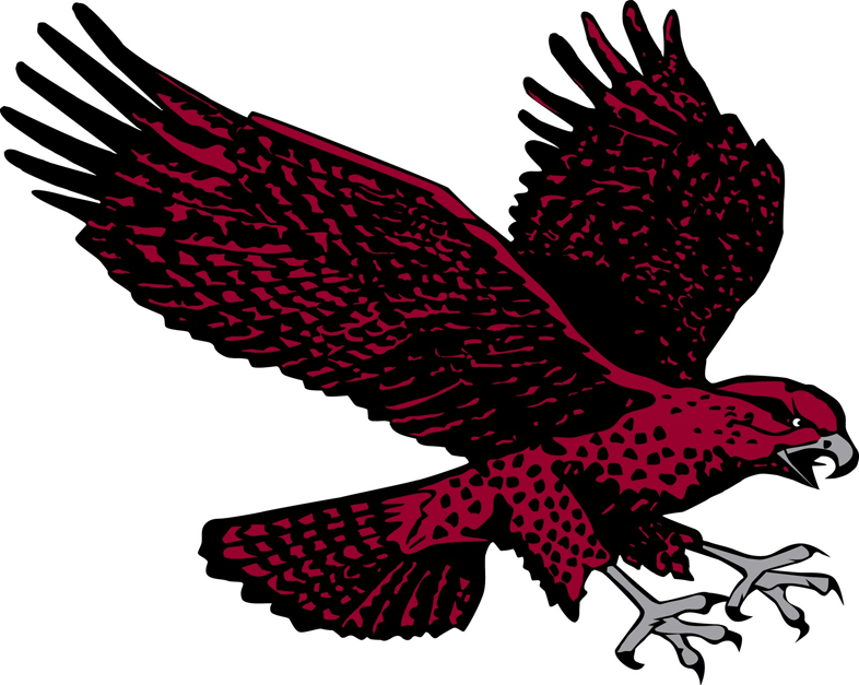 Maryland-Eastern Shore Hawks 2007-Pres Secondary Logo iron on transfers for fabric
